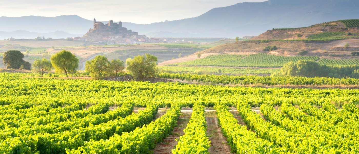 La Rioja - Wine Paths